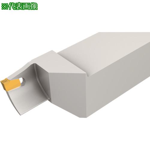 ■イスカル セルフグリップチップ用一体型ホルダー SGFFR/L〔品番:SGFFL20602〕【1113902:0】[送料別途見積り][法人・事業所限定][掲外取寄][店頭受取不可]｜ホームセンターバロー　店