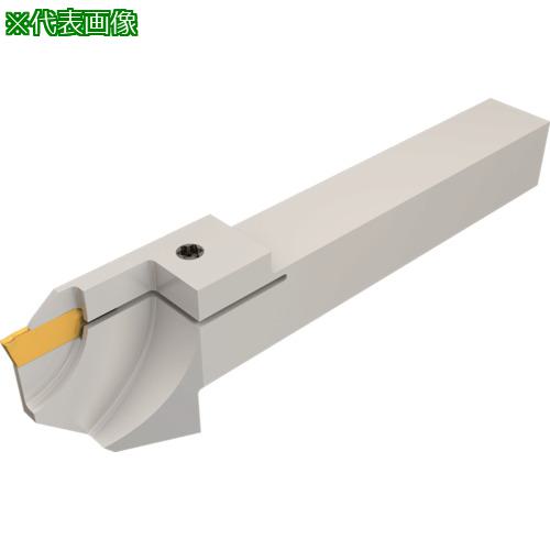 ■イスカル ドゥーグリップ 突っ切り・溝入れ加工用ホルダー DGTR/L-B-D-TR〔品番:DGTL12B1.5D20TR12〕【1115522:0】[送料別途見積り][法人・事業所限定][掲外取寄][店頭受取不可]