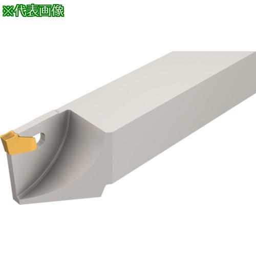 ■イスカル セルフグリップ 強化ホルダー SGTFR/L-D〔品番:SGTFL20203D45〕【1117020:0】[送料別途見積り][法人・事業所限定][掲外取寄][店頭受取不可]