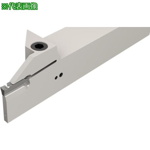 ■イスカル ドゥーグリップ 突っ切り・溝入れ加工用ホルダー DGTR/L-BC-T〔品番:DGTL25BC4T25〕【1118593:0】[店頭受取不可]