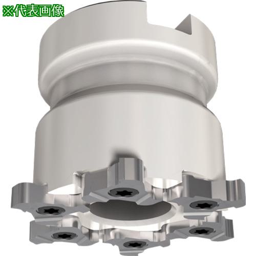 ■イスカル カムスリット フェースミル TRIB-SM〔品番:TRIB6322SM8Z〕【1120233:0】[送料別途見積り][法人・事業所限定][掲外取寄][店頭受取不可]