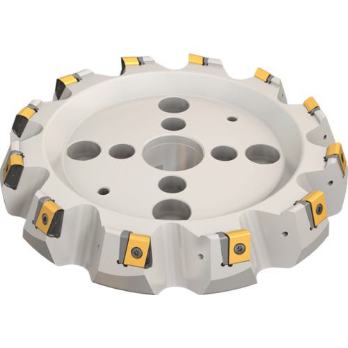 ■イスカル ヘリタング フェースミル T465 FLN-22ST〔品番:T465FLND2001060R22ST〕【1120376:0】[送料別途見積り][法人・事業所限定][掲外取寄][店頭受取不可]｜ホームセンターバロー　店 126,280円