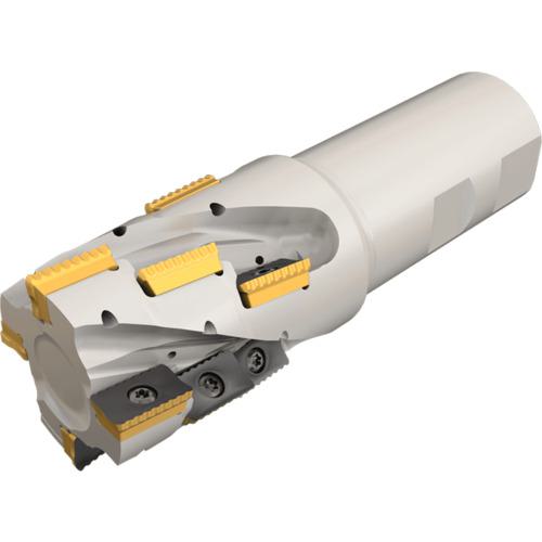 ■イスカル シュレッドミルP290 ヘリカルエンドミル P290 ACK〔品番:P290ACKD50453W4018〕【1125077:0】[送料別途見積り][法人・事業所限定][掲外取寄][店頭受取不可]