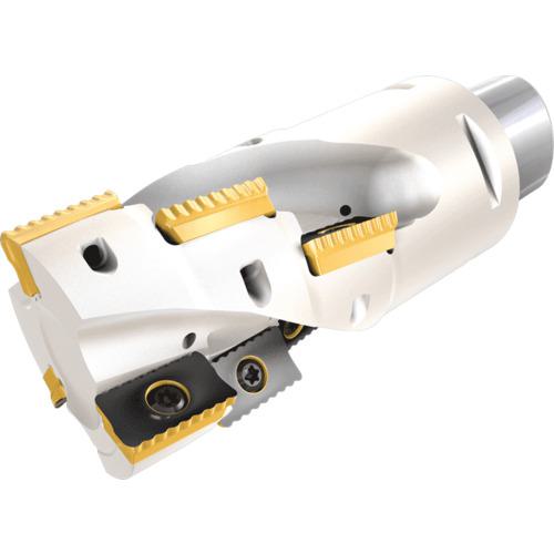 ■イスカル シュレッドミルP290 ヘリカルエンドミル P290 ACK-C〔品番:P290ACKD40387C618〕【1128194:0】[送料別途見積り][法人・事業所限定][掲外取寄][店頭受取不可]