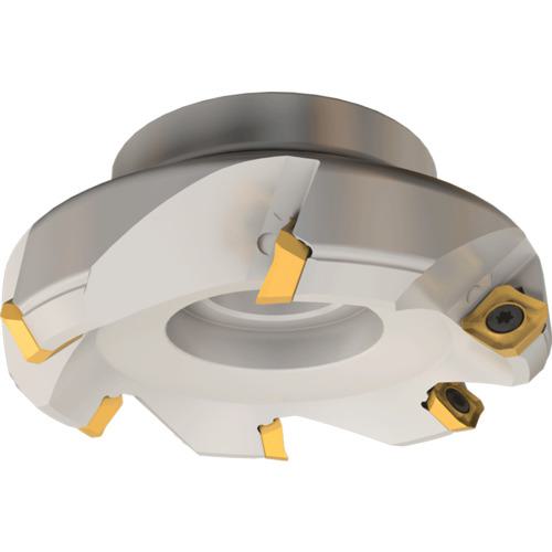 ■イスカル イスカルミル フェースミル F45ST〔品番:F45STD25060〕【1131246:0】[送料別途見積り][法人・事業所限定][掲外取寄][店頭受取不可]