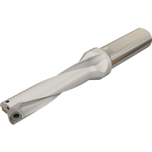 ■イスカル DRツイスト チップ交換式ドリルホルダ DR-4D-N〔品番:DR05421640164DN〕【1136386:0】[送料別途見積り][法人・事業所限定][掲外取寄][店頭受取不可]｜ホームセンターバロー　店