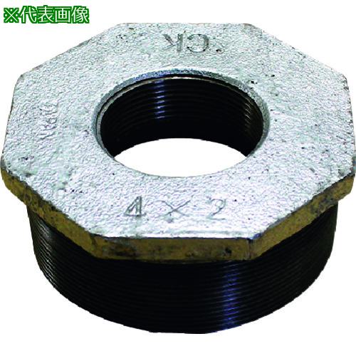 ■Hoshin 配管内止水用オプション 止水ボール用ブッシング(4インチ→2インチ)〔品番:B42〕【1149418:0】[送料別途見積り][法人・事業所限定][直送][店頭受取不可]