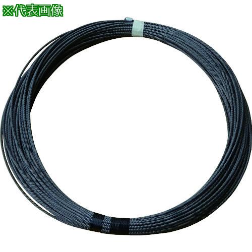 ■TKK DB-N820専用交換ワイヤロープ ワイヤロープ φ6&times;22M (麻芯6&times;19)〔品番:6X22MDBN820〕【1165238:0】[店頭受取不可]｜ホームセンターバロー　店