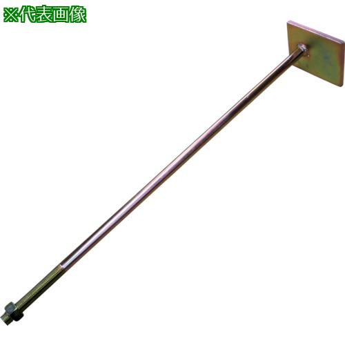 ■DAIDOHANT DH偏芯座金付ボルト40 M16x550 20本入〔品番:00036125〕【1174527:0】[送料別途見積り][掲外取寄][店頭受取不可]