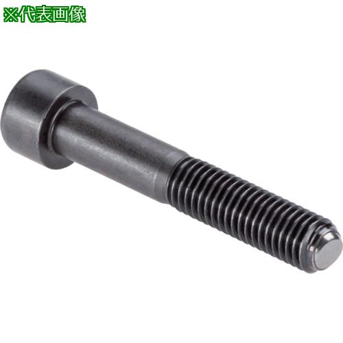 ■HALDER セッティングスクリュー ヘッド付セレーション無 ピン径 M24 ピン長さ90〔品番:22700.0184〕【1205395:0】[送料別途見積り][法人・事業所限定][掲外取寄][店頭受取不可]｜ホームセンターバロー　店