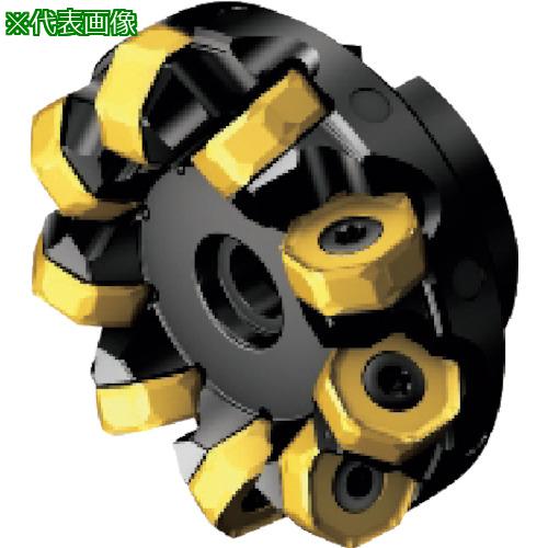 ■SANDVIK コロミル745カッター(450)〔品番:A745102R3821H〕【1235425:0】[送料別途見積り][掲外取寄][店頭受取不可]