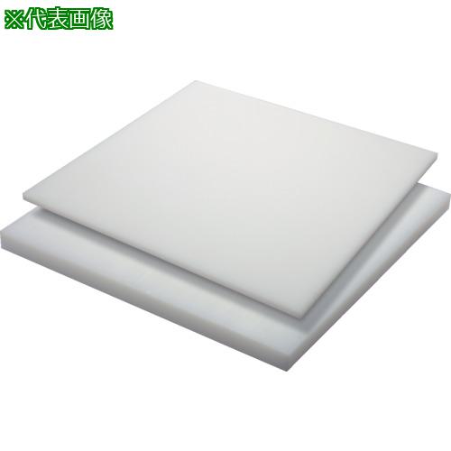 ■タキロン HDPE 100T×500×1000 白〔品番:TPPEPLATE720A1005001000〕【1241995:0】[送料別途見積り][法人・事業所限定][外直送][店頭受取不可]