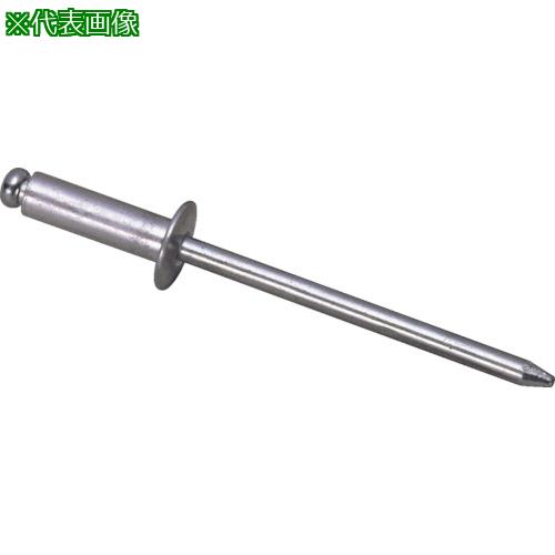 ■エビ ブラインドリベット(アルミ/アルミ製) 6-5(1000本入) 箱入〔品番:NA65〕【1258770:0】[店頭受取不可]