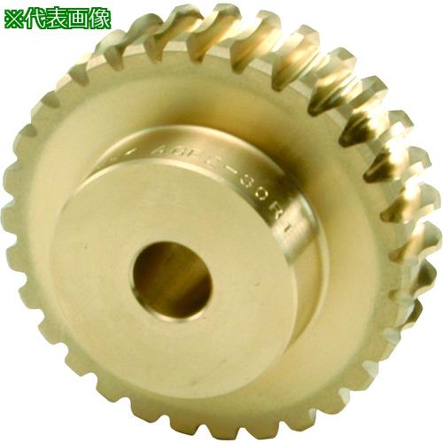 ■KHK ウォームホイールAGF6-20R1〔品番:AGF620R1〕【1259198:0】[店頭受取不可]