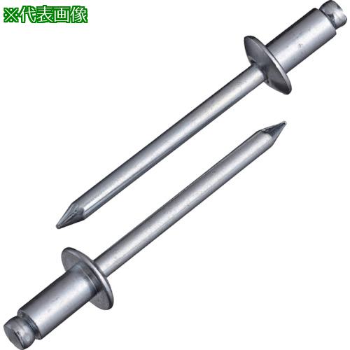■エビ ブラインドリベット(スティール/スティール製) 6-10(1000本入) 箱入〔品番:NS610〕【1259741:0】[店頭受取不可]