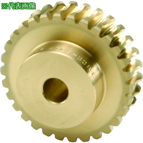 ■KHK ウォームホイールAGF3-25R1〔品番:AGF325R1〕【1280897:0】[送料別途見積り][掲外取寄][店頭受取不可]｜ホームセンターバロー　店