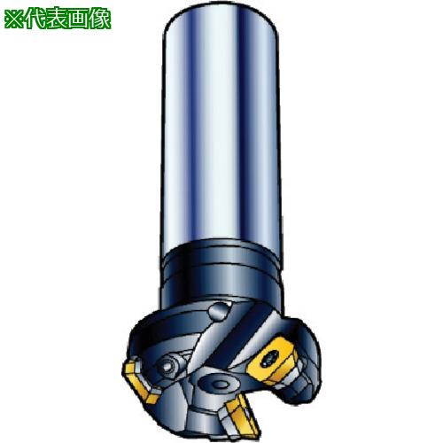 ■SANDVIK コロミルCoroMill[[R上]]245 正面フライス加工用カッター(450)〔品番:R245040A3212L〕【1323091:0】[店頭受取不可]｜ホームセンターバロー　店 34,964円