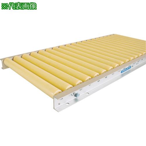 ■TS 樹脂製ローラコンベヤφ38-W100XP100X2000L〔品番:P38101020〕【1324720:0】[送料別途見積り][法人・事業所限定][外直送][店頭受取不可]