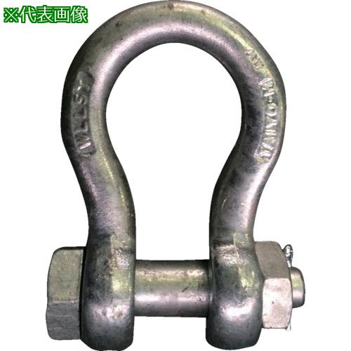 ■TAIYO JISシャックル M級 ドブ BB-28(1010530)〔品番:JBB28G〕【1356432:0】[送料別途見積り][掲外取寄][店頭受取不可]