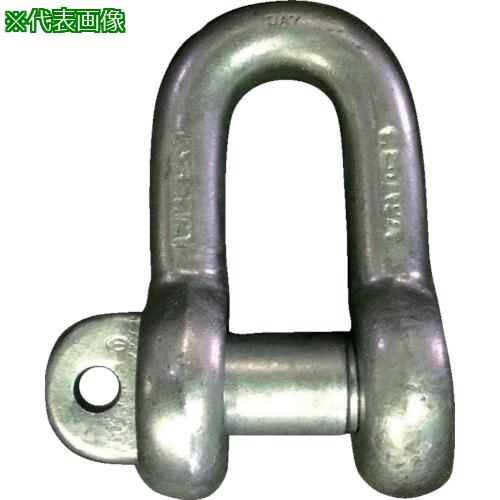 ■TAIYO JISシャックル M級 ドブ SC-28(1010616)〔品番:JSC28G〕【1356438:0】[送料別途見積り][掲外取寄][店頭受取不可]