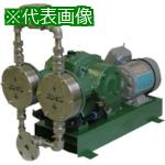 ■KUK 無脈動定量注入ポンプ PVC製 200(V) 200(W) 屋外型〔品番:FF31000S〕【1356623:0】[送料別途見積り][法人・事業所限定][直送][店頭受取不可]