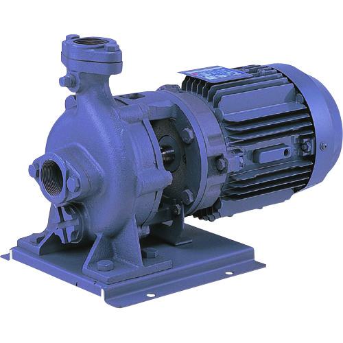 ■エバラ FVD型ブルテックスポンプ 60Hz 口径65mm 出力3.7kW〔品番:65FVD63.7B〕【1358087:0】[送料別途見積り][法人・事業所限定][外直送][店頭受取不可]｜ホームセンターバロー　店