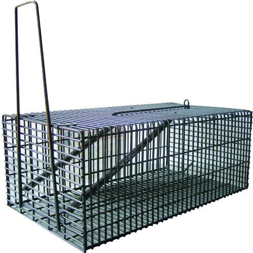 ■コンパル ブラック・角型ハウス L《16個入》〔品番:028089〕【1383730×16:0】[送料別途見積り][掲外取寄][店頭受取不可]