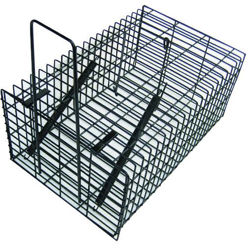 ■コンパル ブラック・角型ハウス《40個入》〔品番:028072〕【1383776×40:0】[送料別途見積り][掲外取寄][店頭受取不可]