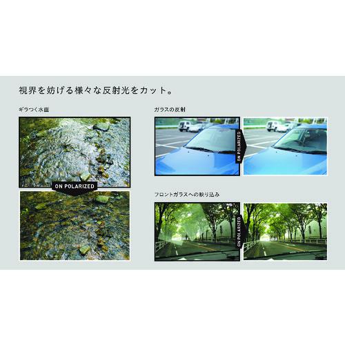 ■ジールオプティクスDorio(偏光)F1668ブラック/グレートゥルービュースポーツ/ブルーミラー〔品番:F1668〕【1388760:0】