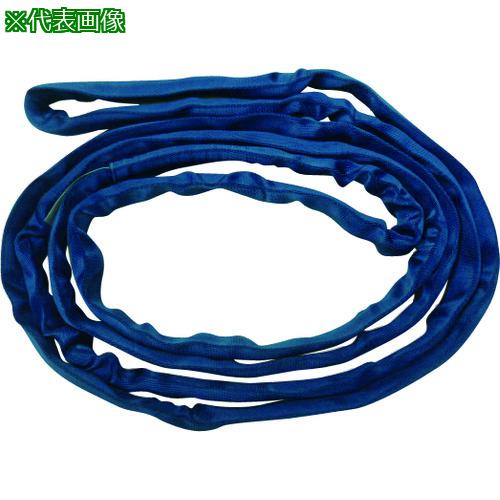 ■TESAC ブルースリングソフトN形(エンドレスタイプ)荷重1.6t 全長5m(JIS規格品)〔品番:TBSN1.6TX5M〕【1480602:0】[送料別途見積り][法人・事業所限定][直送][店頭受取不可]｜ホームセンターバロー　店