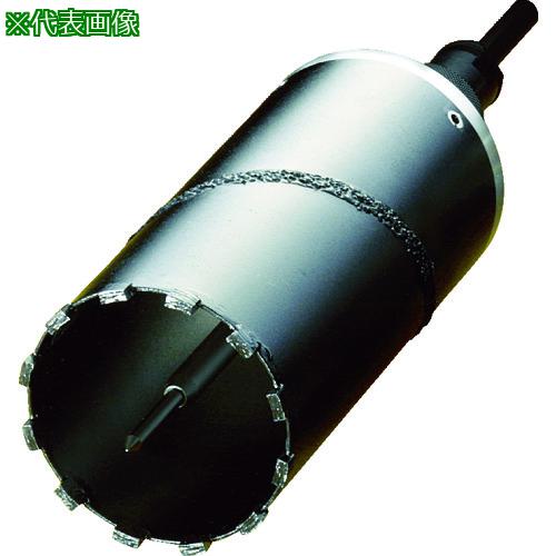 ■ハウスB.M ドラゴンダイヤモンドコアドリル(フルセット)170mm〔品番:RDG170〕【1530346:0】[送料別途見積り][掲外取寄][店頭受取不可]｜ホームセンターバロー　店