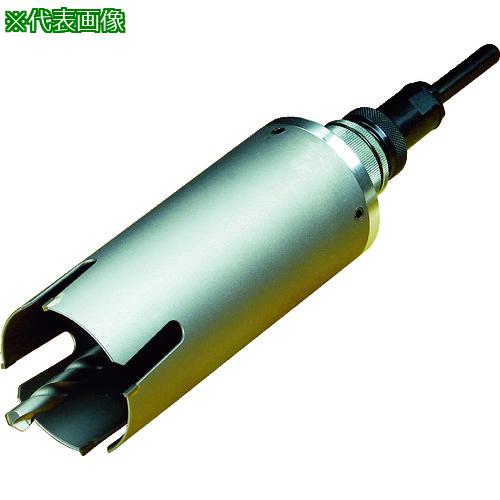 ■ハウスB.M サイディング・ウッドコアドリル(フルセット)166mm〔品番:SWC166〕【1531860:0】[送料別途見積り][掲外取寄][店頭受取不可]｜ホームセンターバロー　店