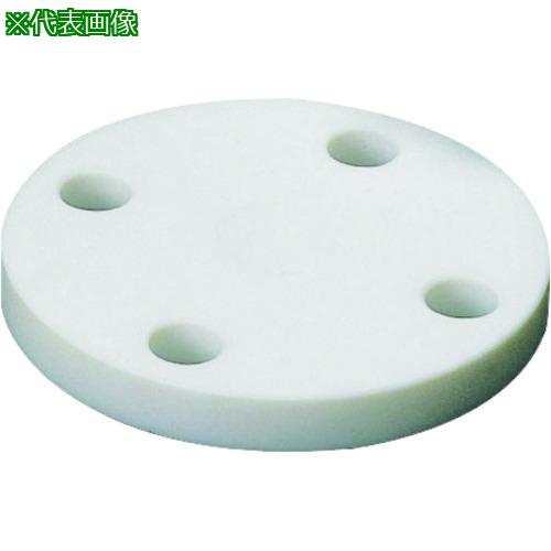 ■フロンケミカル フッ素樹脂(PTFE)ブラインドフランジJIS-10K 15A《5枚入》〔品番:NR1414004〕【1532883×5:0】[送料別途見積り][店頭受取不可]