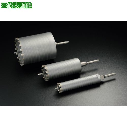 ■UNIKA ESコアドリル乾式ダイヤヒューム管用200mm SDSシャンク〔品番:ESDH200SDS〕【1542118:0】[送料別途見積り][法人・事業所限定][掲外取寄][店頭受取不可]｜ホームセンターバロー　店