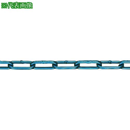 ■水本 【要長さ指定】チューブ保護アルミカラーチェーン ブルー 6HALC-B 13.1~14m〔品番:6HALCB14C〕【1584069:0】[送料別途見積り][掲外取寄][店頭受取不可] 32,533円