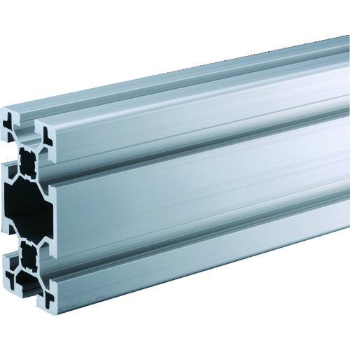 ■TRUSCO TSF40フレーム40X80-1100〔品番:TSF40801100〕【1613610:0】[法人・事業所限定][直送元][店頭受取不可]