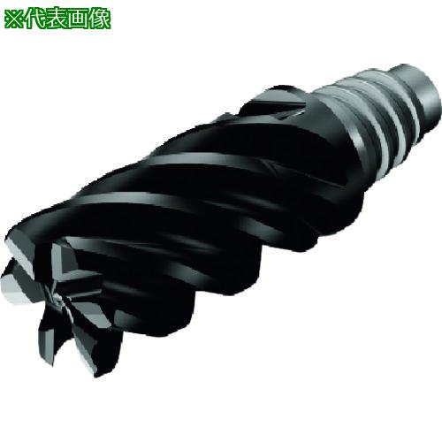 ■SANDVIK コロミルCoroMill[[R上]]316 高送り側面フライス加工用超硬ヘッド(345) 1745〔品番:31625FL64225010L〕【1614594:0】[送料別途見積り][掲外取寄][店頭受取不可]｜ホームセンターバロー　店