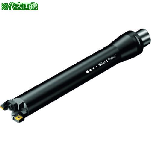 ■SANDVIK コロボアBR20(530)〔品番:BR20D90SP12YC8M〕【1616183:0】[送料別途見積り][掲外取寄][店頭受取不可]