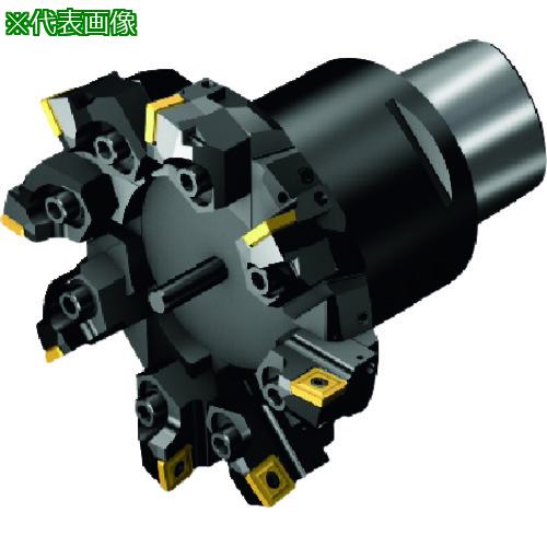 ■SANDVIK コロボアBR30(530)〔品番:BR301716SP12YC8〕【1660876:0】[送料別途見積り][掲外取寄][店頭受取不可]