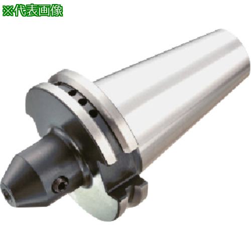 ■SANDVIK エンドミルホルダ(540)〔品番:A1B205032160〕【1667313:0】[送料別途見積り][法人・事業所限定][掲外取寄][店頭受取不可]｜ホームセンターバロー　店