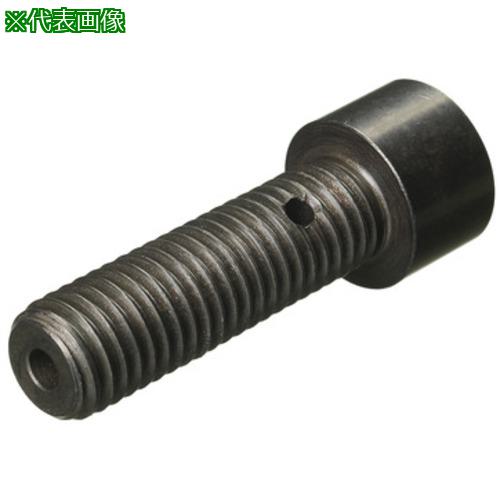 ■SANDVIK スクリュー(810)〔品番:551207305〕【1679784:0】[送料別途見積り][掲外取寄][店頭受取不可]
