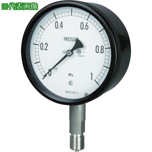 ■長野 密閉形圧力計 A枠立型 Φ100 最小目盛0.200〔品番:BE1013310.0MP〕【1693883:0】[店頭受取不可]｜ホームセンターバロー　店