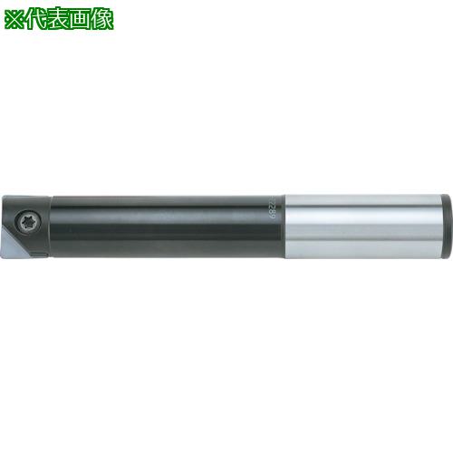 ■ダイジェット ミラーラジアスエンドミル 本体〔品番:RNMM300106SS32〕【1766809:0】[送料別途見積り][法人・事業所限定][外直送][店頭受取不可]