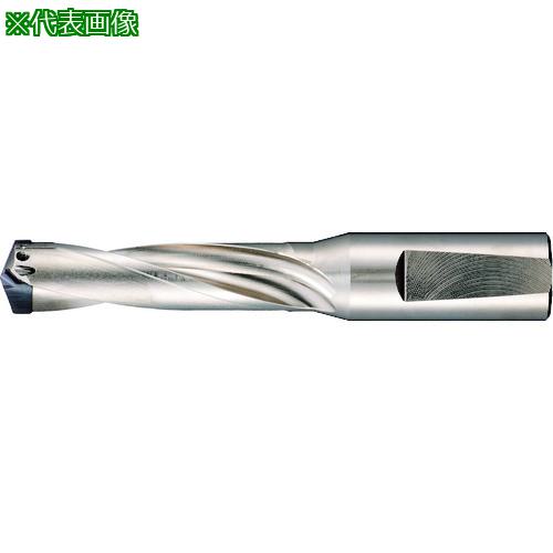 ■GUHRING 刃先交換式超硬ドリルホルダ3&times;D用 17.01~17.99mm〔品番:524217.990〕【1804174:0】[送料別途見積り][掲外取寄][店頭受取不可]｜ホームセンターバロー　店