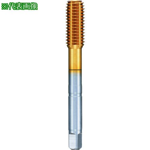 ■GUHRING メートル並目ねじ用タップ レギュラTiNコート M20×2.5〔品番:444320.000〕【1804599:0】[送料別途見積り][掲外取寄][店頭受取不可]