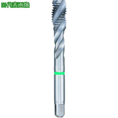 ■GUHRING メートル細目ねじ用タップ レギュラ M22×1.5〔品番:443822.007〕【1804605:0】[送料別途見積り][掲外取寄][店頭受取不可]