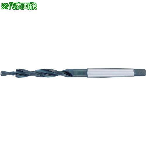 ■GUHRING 180&deg;座繰り用サブランドドリル レギュラ ホモ処理 31mm〔品番:52031.000〕【1805290:0】[送料別途見積り][掲外取寄][店頭受取不可]｜ホームセンターバロー　店