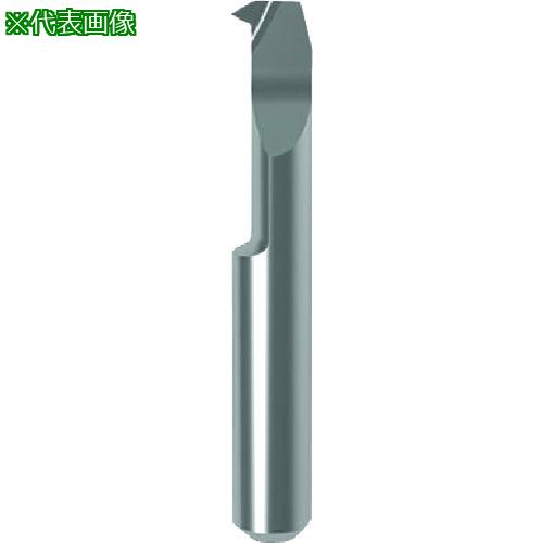 ■GUHRING 溝入れ工具 インサート 内径ねじ切り さらい刃なし メートル並目ねじ用 GG106.TM10.150.32.85.R〔品番:257706.015〕【1805981:0】[送料別途見積り][法人・事業所限定][掲外取寄][店頭受取不可]｜ホームセンターバロー　店