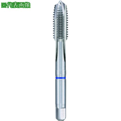 ■GUHRING ステンレス用メートル並目ねじ用タップオーバーサイズ レギュラ M20×2.5〔品番:442420.000〕【1806249:0】[送料別途見積り][掲外取寄][店頭受取不可] 6,387円