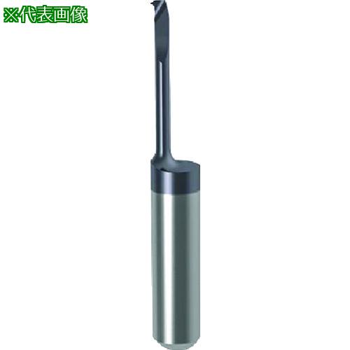 ■GUHRING 溝入れ工具 インサート 内径ねじ切り さらい刃なし メートル細目ねじ用 nanoAコート GG104.TM02.020.12.17.L〔品番:251594.003〕【1807562:0】[送料別途見積り][法人・事業所限定][掲外取寄][店頭受取不可]｜ホームセンターバロー　店
